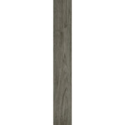  [efl-trim-v1]