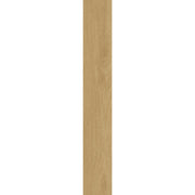  [efl-trim-v1]